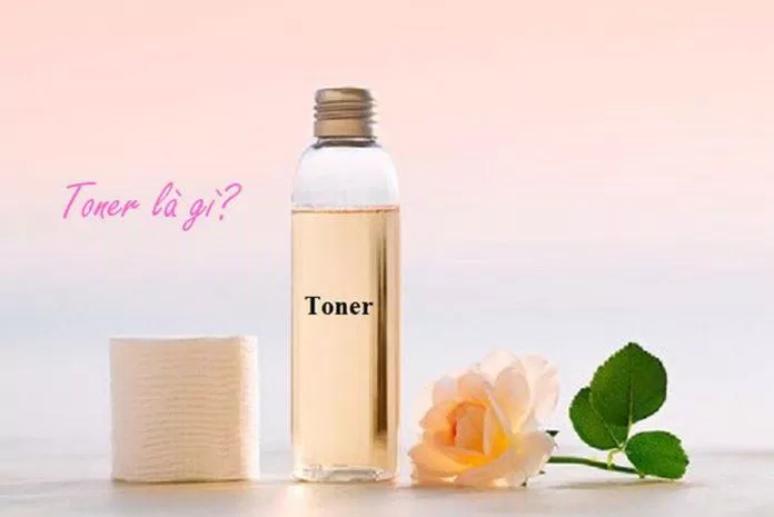 217 Bí quyết dùng toner đúng cách cho người mới bắt đầu mới nhất 2 Có một số người thường nhầm lẫn toner là nước hoa hồng nhưng thực tế, nước hoa hồng chỉ là nhánh nhỏ của toner mà thôi (Nguồn: Internet).