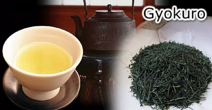 Gyokuro là loại trà xanh cao cấp nhất (Ảnh: Internet).
