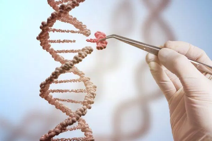 Có một số đột biến gene làm tăng nguy cơ ung thư và truyền lại cho thế hệ sau (Ảnh: Internet).