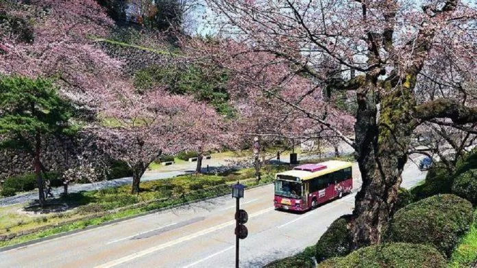 Xe buýt Kenrokuen Shuttle là một trong những phương tiện đưa du khách đến tham quan vườn Kenrokuen (Ảnh: Internet).