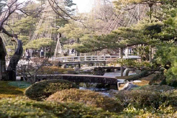 Du khách có thể chọn đến thăm vườn vào lúc sáng sớm để thoải mái ngắm nhìn cảnh quan thiên nhiên ít bóng người của vườn Kenrokuen (Ảnh: Internet).