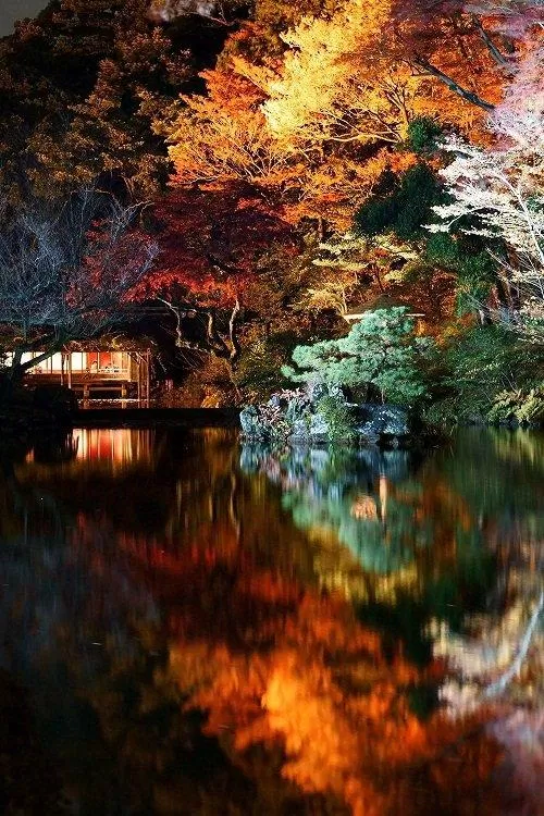 Hồ Hisagoike huyền ảo dưới ánh đèn ban đêm (Ảnh: Internet).
