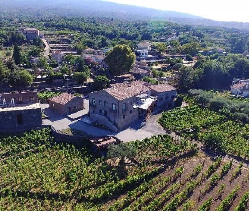 Toàn cảnh khu vực Tenuta di Fessina với những vườn nho nhìn từ trên cao (Ảnh: Internet). Toàn cảnh khu vực Tenuta di Fessina với những vườn nho nhìn từ trên cao (Ảnh: Internet).