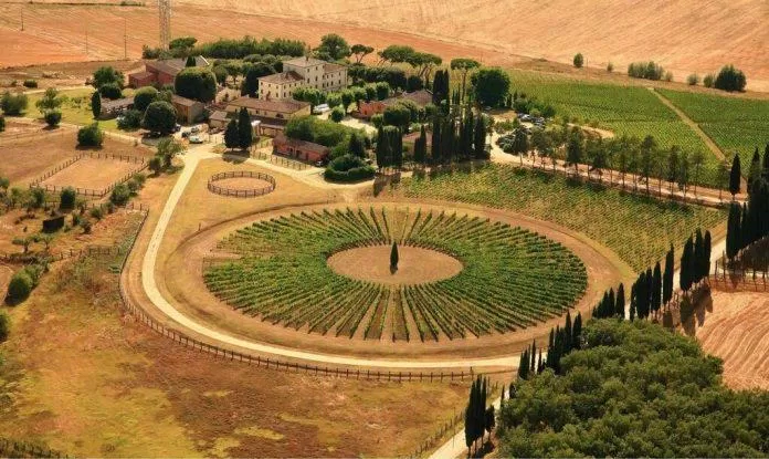 Vườn nho Avignonesi có hình tròn đặc trưng khi nhìn từ trên cao (Ảnh: Internet).
