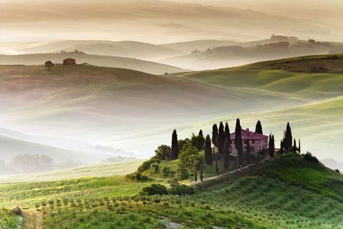 Vườn nho trong sương sớm tại Castiglion del Bosco (Ảnh: Internet). Vườn nho trong sương sớm tại Castiglion del Bosco (Ảnh: Internet).