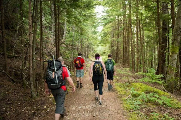 Hiking sẽ mang lại cho bạn sự tự do luôn khao khát và cảm giác thành công khi chinh phục những con đường. (Nguồn: Intenet)