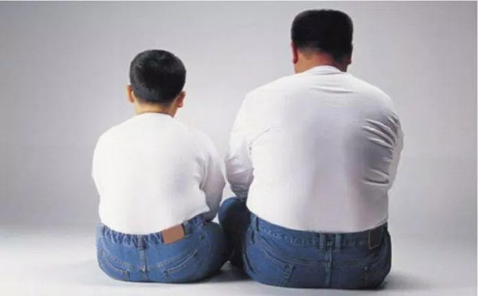 Yếu tố di truyền có ảnh hưởng đến nguy cơ béo phì (Ảnh: Internet).