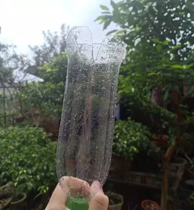 Cắt chai nhựa 500ml thành 5 cánh hoa như này. (Ảnh: Internet)