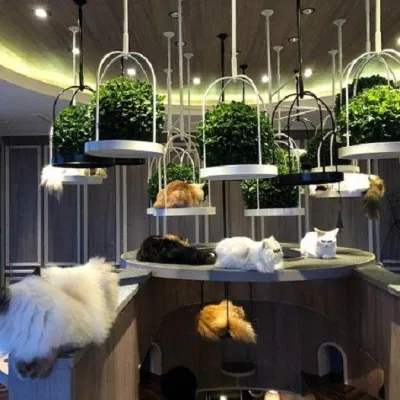 Thiết kế rất độc lạ của MoCHA Cafe (Ảnh: Internet). Thiết kế rất độc lạ của MoCHA Cafe (Ảnh: Internet).