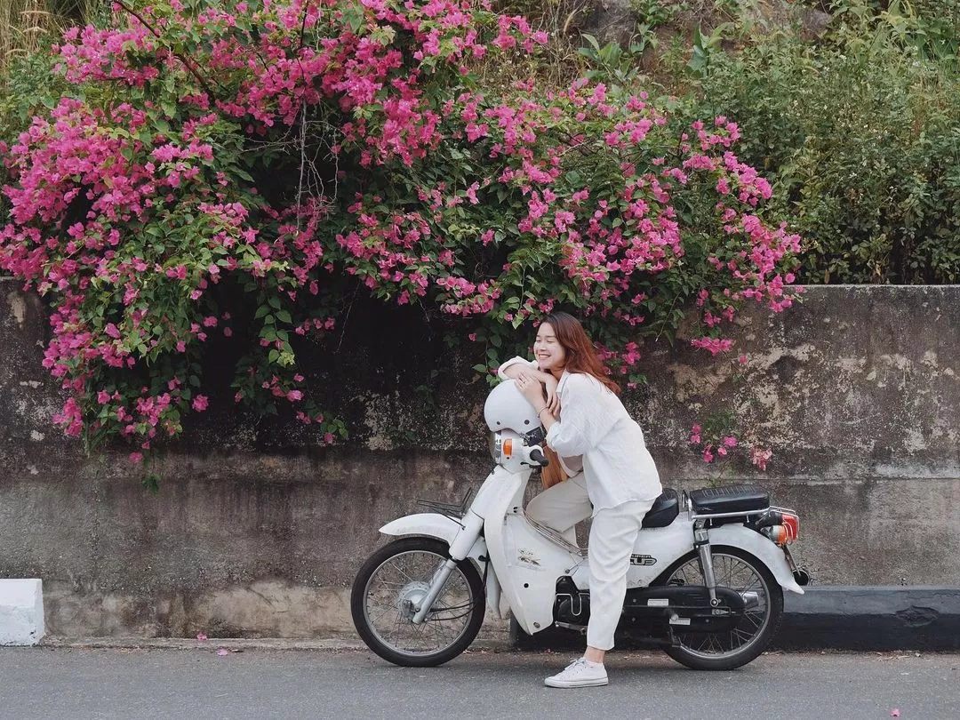 Check in cùng giàn hoa giấy ven đường lên bán đảo Sơn Trà ( Ảnh: Internet). Check in cùng giàn hoa giấy ven đường lên bán đảo Sơn Trà ( Ảnh: Internet).