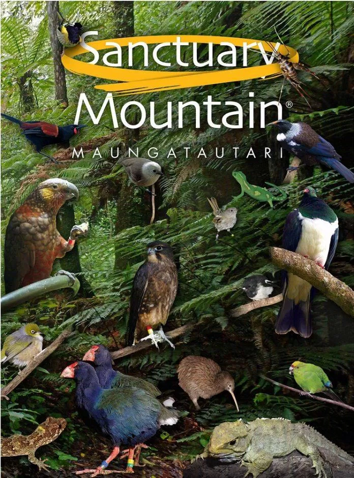 Các loài động vật quý hiếm tại Khu bảo tồn Núi Maungatautari (Ảnh: Internet).