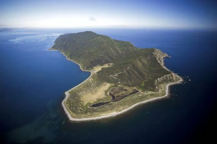 Toàn cảnh đảo Kapiti nhìn từ trên cao (Ảnh: Internet).