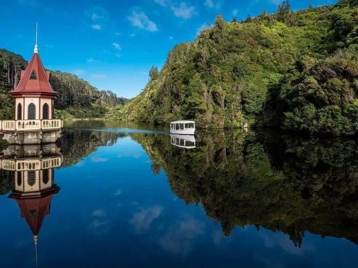 Phong cảnh trong Khu bảo tồn sinh thái Zealandia (Ảnh: Internet).