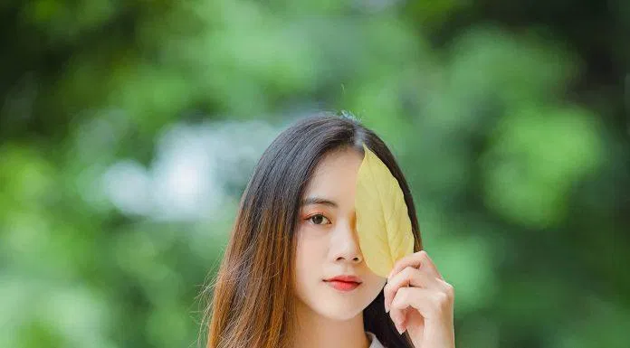 Chụp ảnh với lá (Nguồn ảnh: Internet). Chụp ảnh với lá (Nguồn ảnh: Internet).