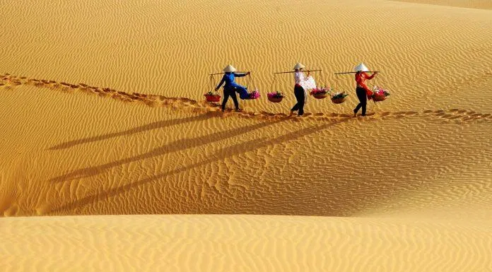 Đồi Cát Mũi Né (Nguồn: Internet).