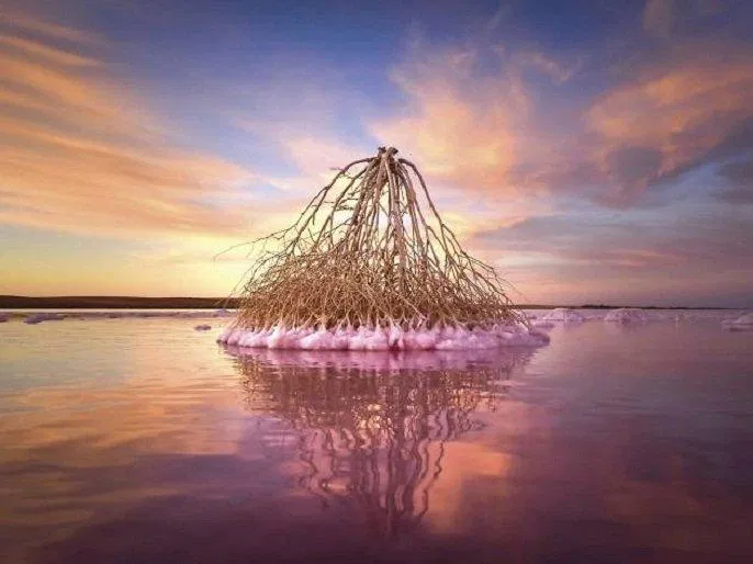 Cảnh tượng phi thường tại hồ Tyrrell (Ảnh: Internet). Cảnh tượng phi thường tại hồ Tyrrell (Ảnh: Internet).