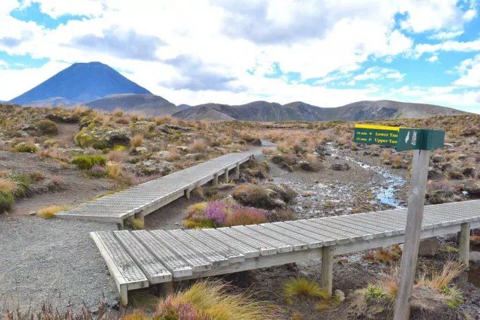 Bảng chỉ dẫn trên Đường vòng Tongariro (Ảnh: Internet).