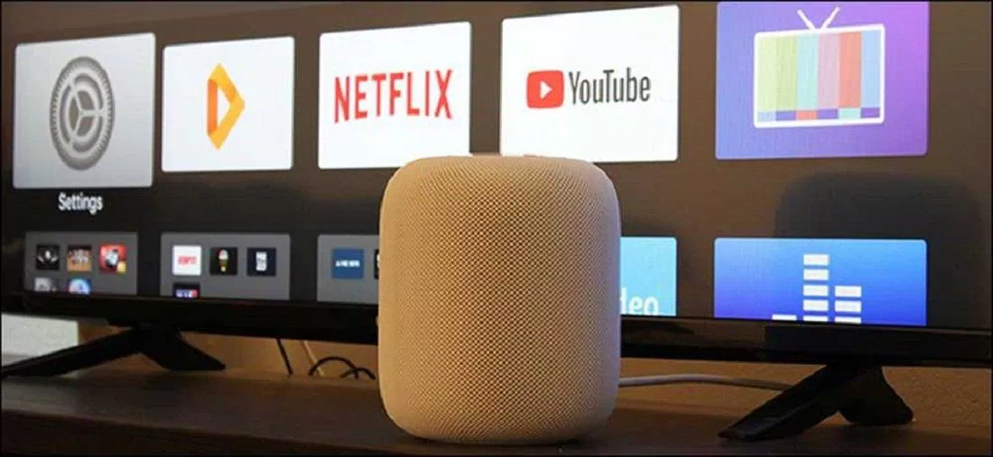 Chiếc loa HomePod thích hợp để dùng ở nhà hơn là mang đi (Ảnh: Internet).