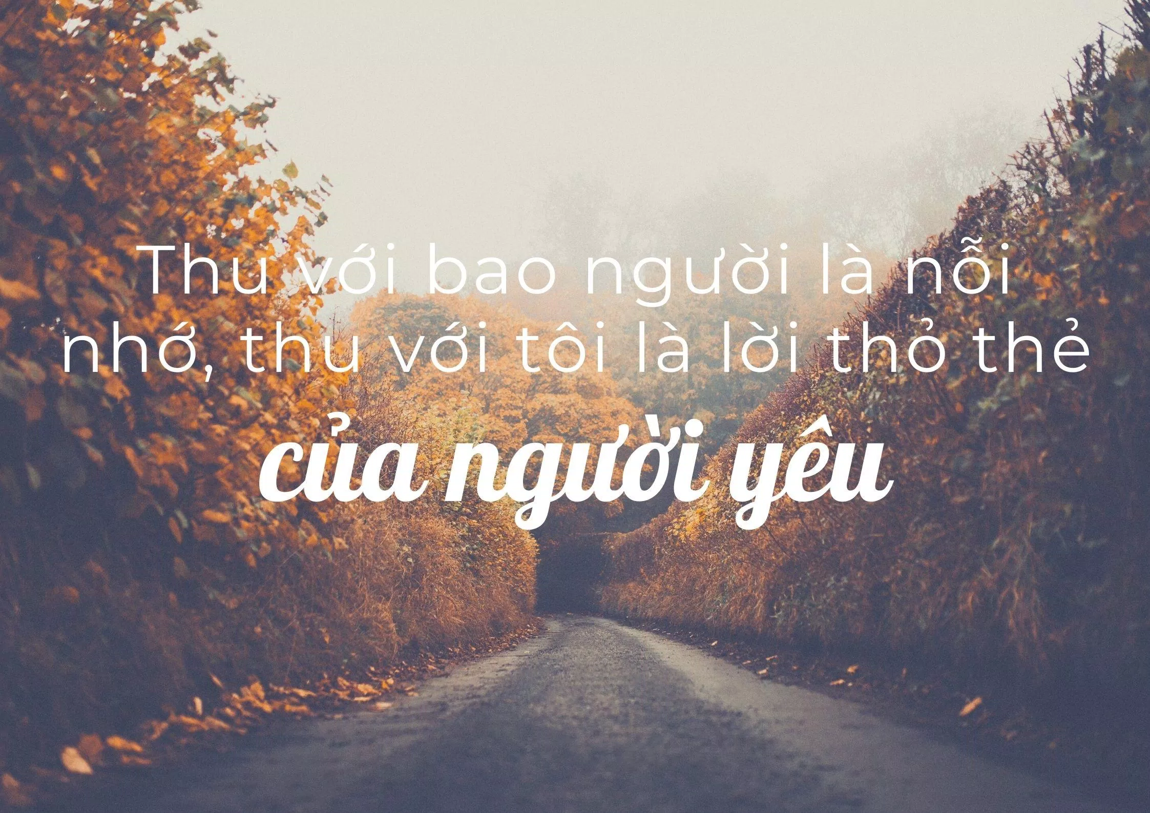 Câu nói hay về mùa thu. (ảnh: internet)