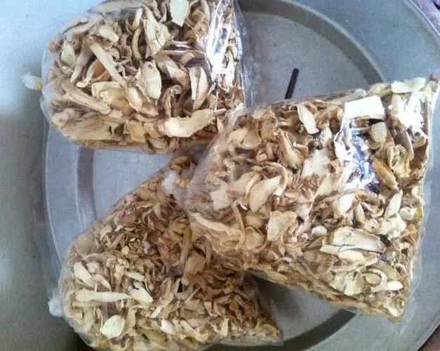 Rễ đinh lăng thái mỏng, phơi khô hoặc sao vàng để dùng dần (Ảnh: Internet). Rễ đinh lăng thái mỏng, phơi khô hoặc sao vàng để dùng dần (Ảnh: Internet).