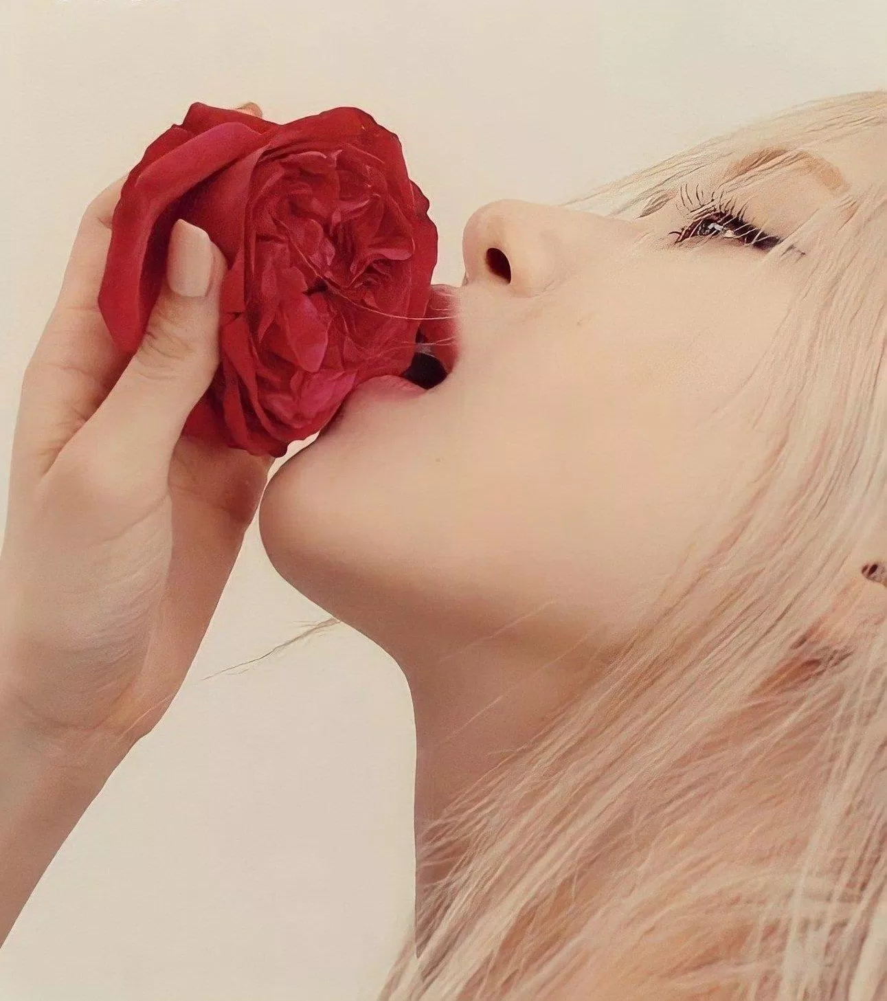 Rosé nhận được rất nhiều bình luận tích cực từ người hâm mộ (Ảnh: Internet). Rosé nhận được rất nhiều bình luận tích cực từ người hâm mộ (Ảnh: Internet).