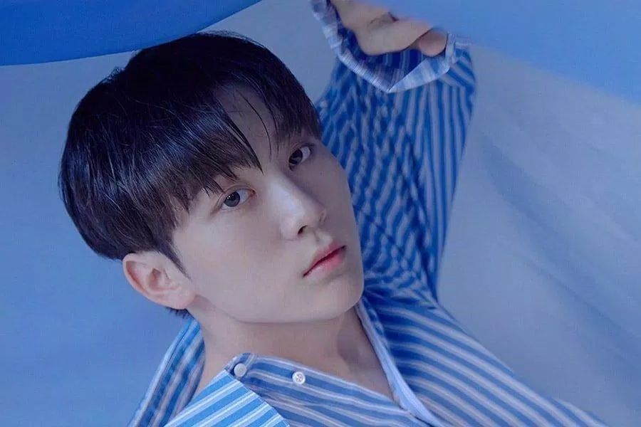 Seungkwan (SEVENTEEN) được bình chọn là gương mặt đại diện tiêu biểu cho nhóm SEVENTEEN (Nguồn: Internet)