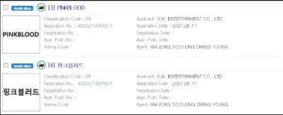 SM Entertaiment đã đăng kí nhãn hiệu "PinkBlood" (ảnh: internet)