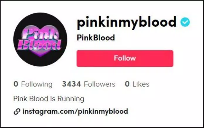 Tài khoản xác thực của "PinkBlood" (ảnh: inernet)