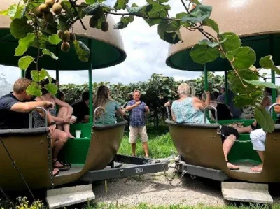 Du khách tham quan nông trại Kiwifruit Country (Ảnh: Internet). Du khách tham quan nông trại Kiwifruit Country (Ảnh: Internet).