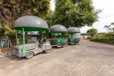 Những chiếc xe có vẻ ngoài giống như trái kiwi rất ngộ nghĩnh (Ảnh: Internet). Những chiếc xe có vẻ ngoài giống như trái kiwi rất ngộ nghĩnh (Ảnh: Internet).