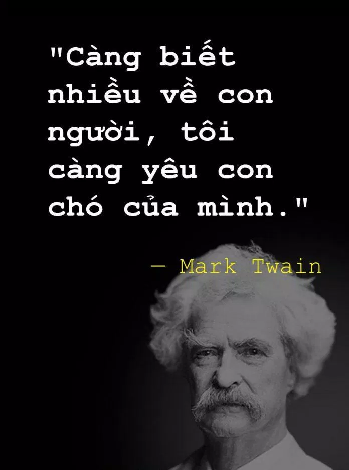 Có lẽ bởi vì chó là loài động vật có tình yêu và trung thành nhất thế giới. (Ảnh: Internet)