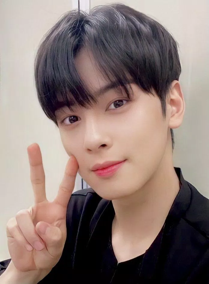 Cha Eunwoo (ASTRO) làm tan chảy trái tim người hâm mộ với ngoại hình tuyệt đẹp. (Nguồn: Internet)