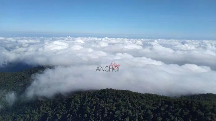 Biển mây trên đỉnh Chư Yang Lắk. (Ảnh: BlogAnChoi)