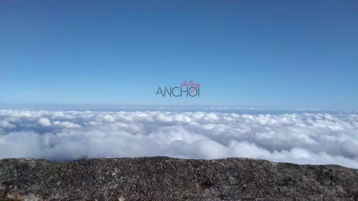 Biển mây trên đỉnh Chư Yang Lắk. (Ảnh: BlogAnChoi)