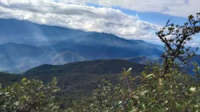 Biển mây trên đỉnh Chư Yang Lắk. (Ảnh: BlogAnChoi)