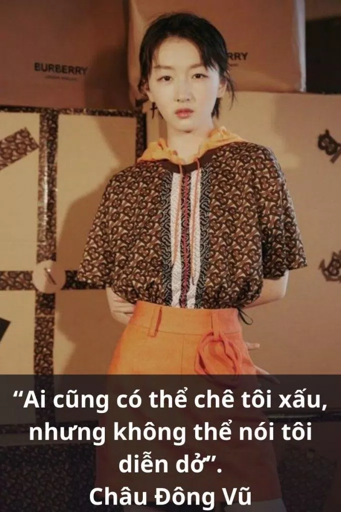Câu nói của Châu Đông Vũ (Ảnh: BlogAnChoi)
