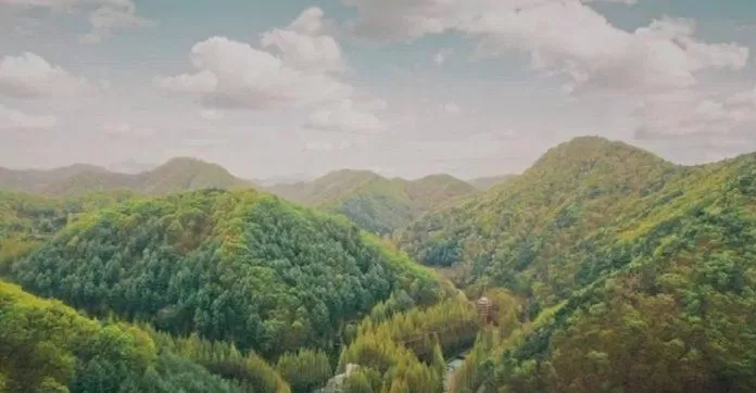 Khu rừng lá vàng vào mùa thu (Ảnh: Internet). Khu rừng lá vàng vào mùa thu (Ảnh: Internet).