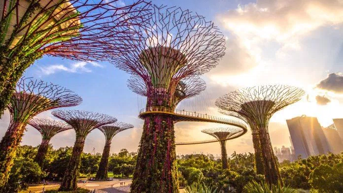 Những "siêu cây" cực kỳ ấn tượng của Vườn Bên Vịnh (Ảnh: Internet).