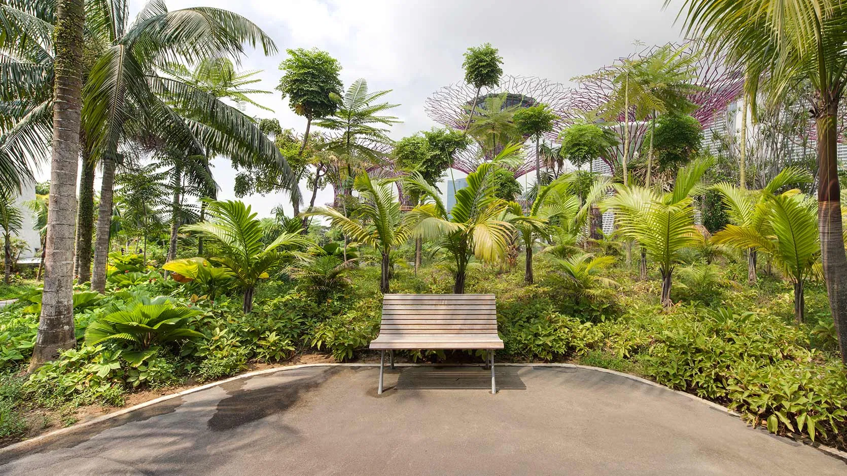 Không gian xanh mát của Thế Giới Thực Vật (Ảnh: Internet). Không gian xanh mát của Thế Giới Thực Vật (Ảnh: Internet).