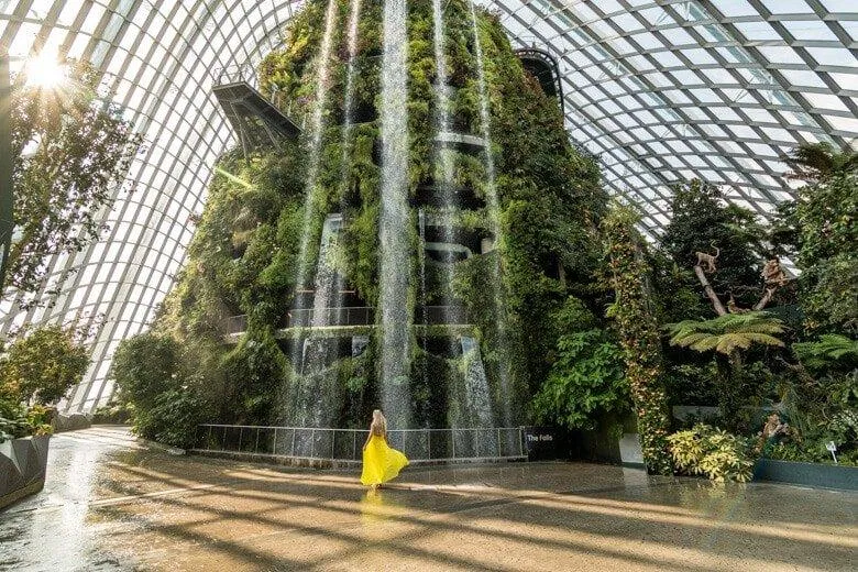 Ngọn núi và thác nước trong khu vực Rừng Mây (Ảnh: Internet). Ngọn núi và thác nước trong khu vực Rừng Mây (Ảnh: Internet).