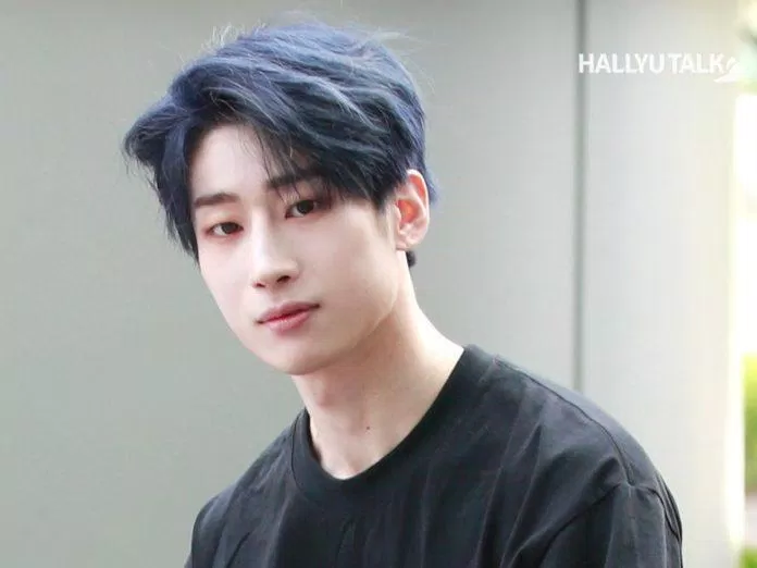 VICTON Han Seung Woo (Ảnh: Internet)