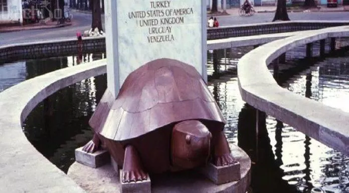 Những năm 60, hồ đúng là có một chú rùa đá dùng để trấn yểm. (Ảnh: Internet)