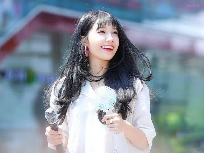 Eunji (Apink) có sinh nhật vào 18/8/1993 và sẽ chính thức bước sang tuổi 30 theo cách tính tuổi của người Hàn Quốc vào năm 2022. (Nguồn: Internet)