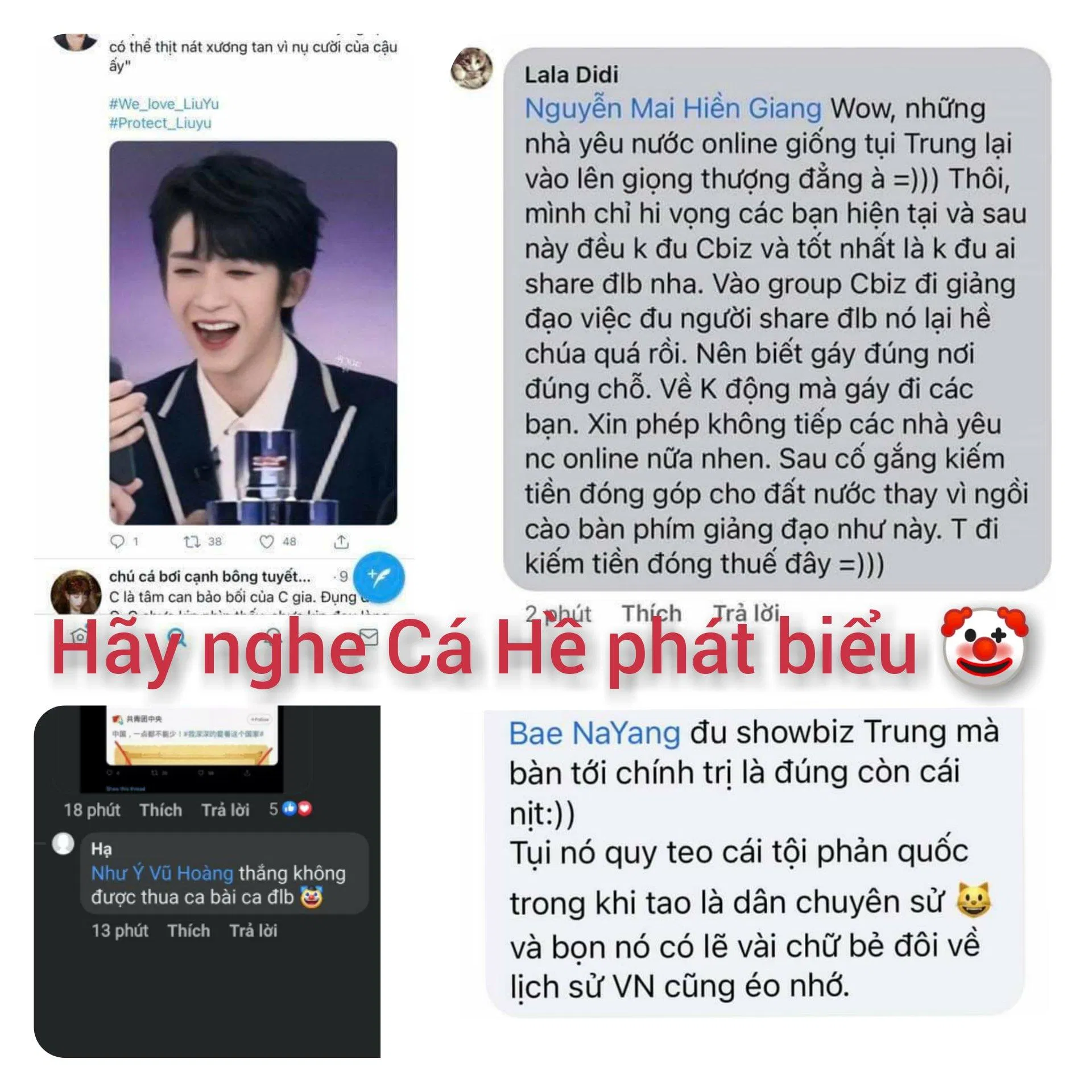 Khi bị phản bác, fandom Cá Viên đã nói những lời cực đoan, phủ nhận Tổ Quốc đi theo Idol (Nguồn: Internet)