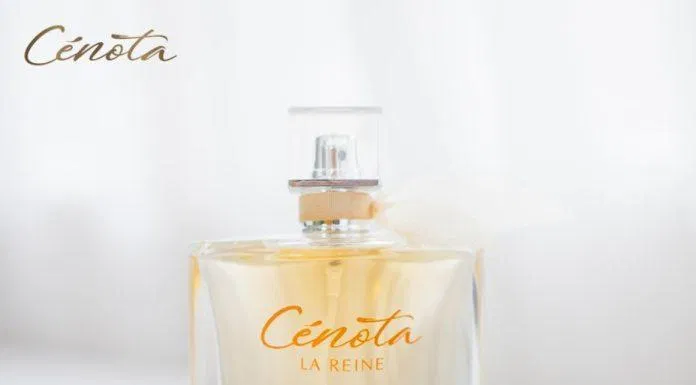 La Reine Cenota mang vẻ ngoài thanh lịch của nước Pháp (Nguồn: Internet) La Reine Cenota mang vẻ ngoài thanh lịch của nước Pháp (Nguồn: Internet)