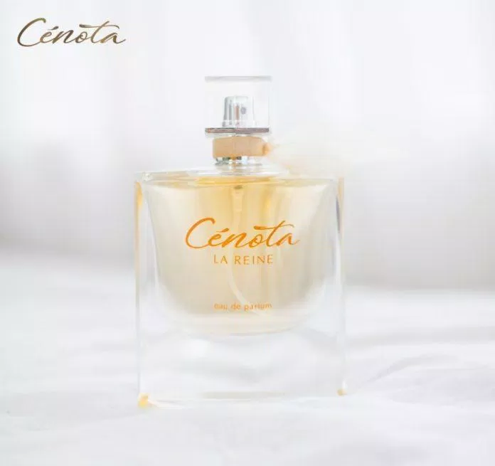 La Reine Cenota mang vẻ ngoài thanh lịch của nước Pháp (Nguồn: Internet) La Reine Cenota mang vẻ ngoài thanh lịch của nước Pháp (Nguồn: Internet)