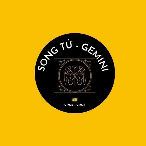 Tử vi hàng ngày cung Song Tử 23/2/2022 (Ảnh: Internet)