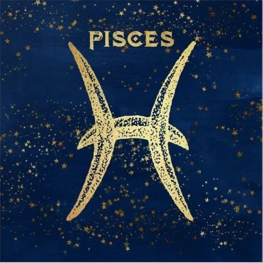 Tử vi cung hoàng đạo Song Ngư tháng 6/2021. (Ảnh: Internet)