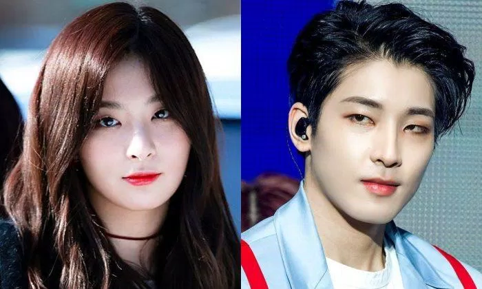 Chiếc mũi cao thanh thoát và hình dạng đôi môi của "nàng Gấu" Seulgi (Red Velvet) với Wonwoo (SEVENTEEN) rất giống nhau khiến fans nhiều lần lầm tưởng cả 2 có họ hàng xa. (Nguồn: Internet)