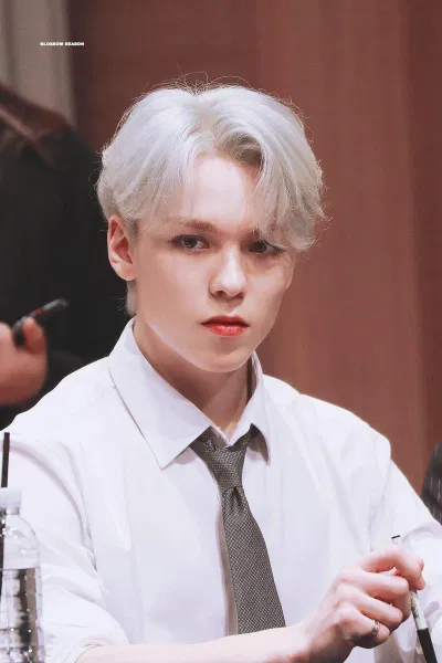 Danh sách các fansite của Vernon (Nguồn: on pic)